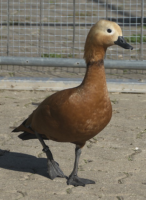 术表演